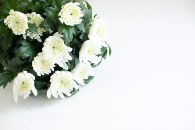 白い仏花